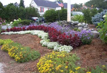 community garden